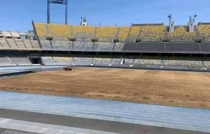 ملعب ابن بطوطة يكتسي عشبا بمواصفات عالية الجودة