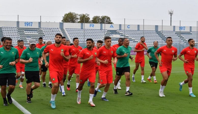 مركز محمد السادس يستقبل الأسود